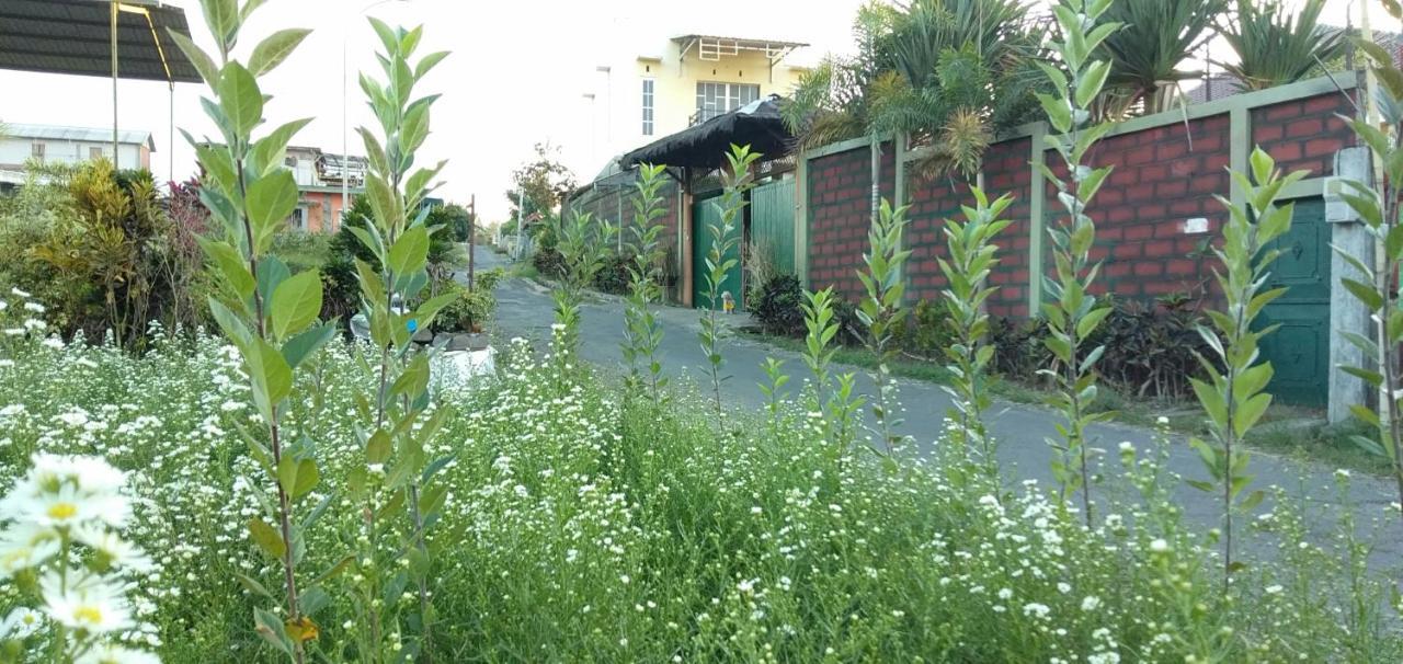 Bliss Family Cottage Batu バトゥ エクステリア 写真