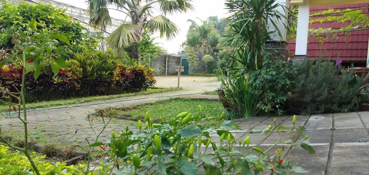 Bliss Family Cottage Batu バトゥ エクステリア 写真